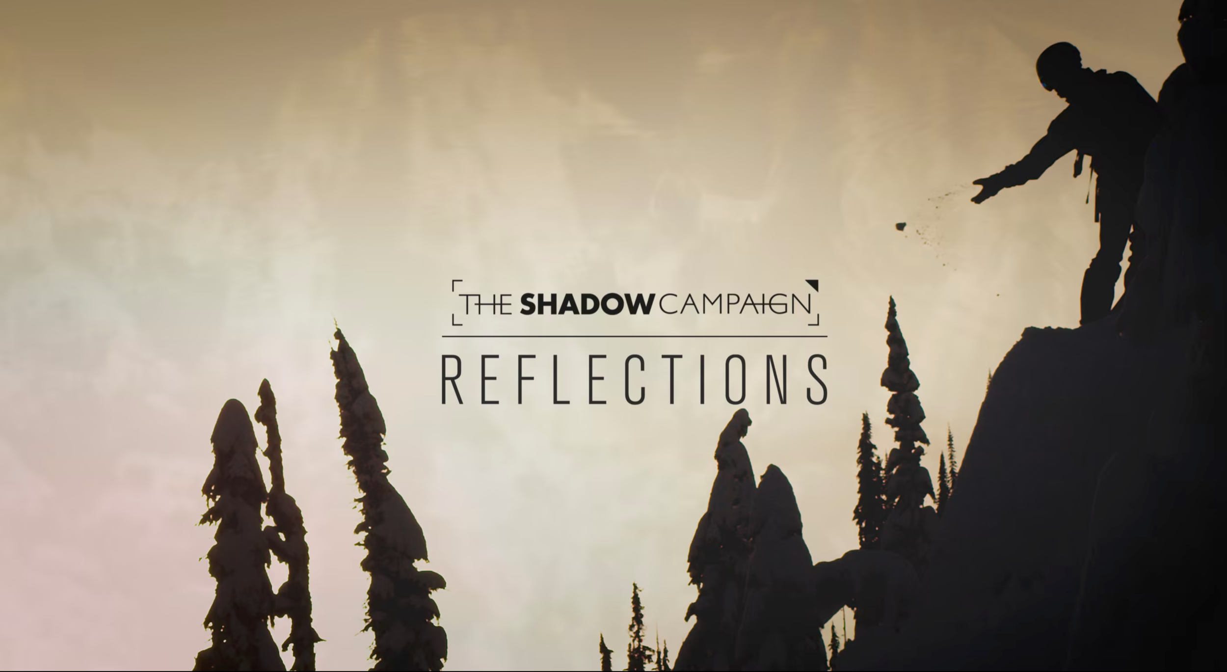 The Shadow Campaign // Reflections