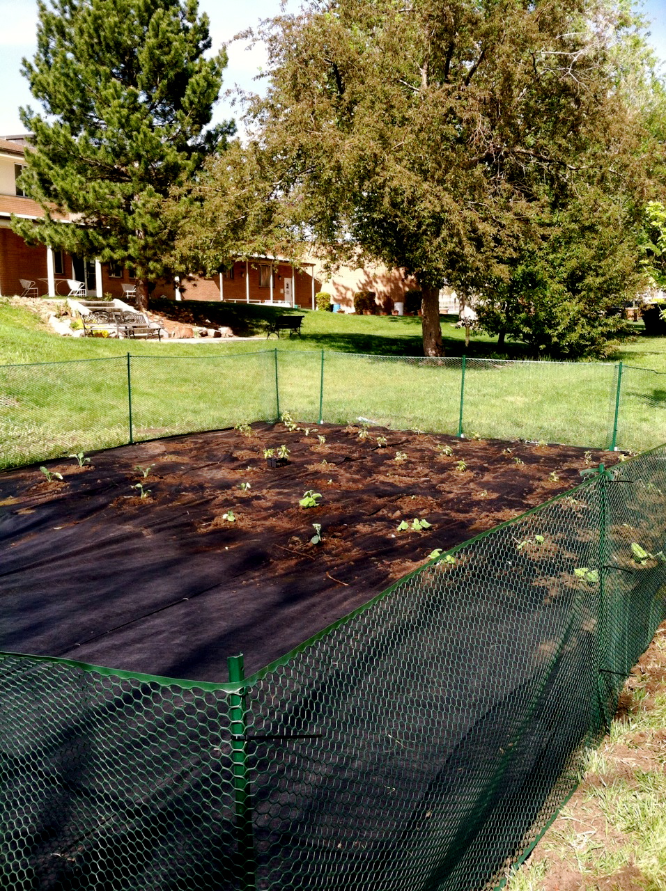 New Garden At Holy Trinity 