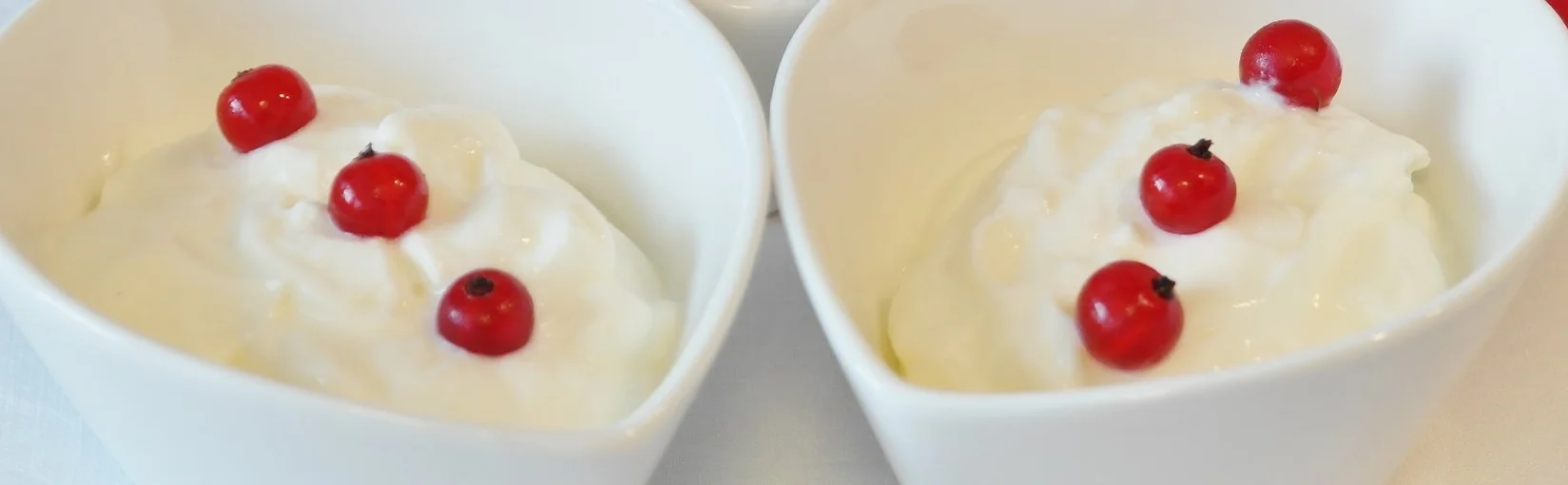 Yogurt
