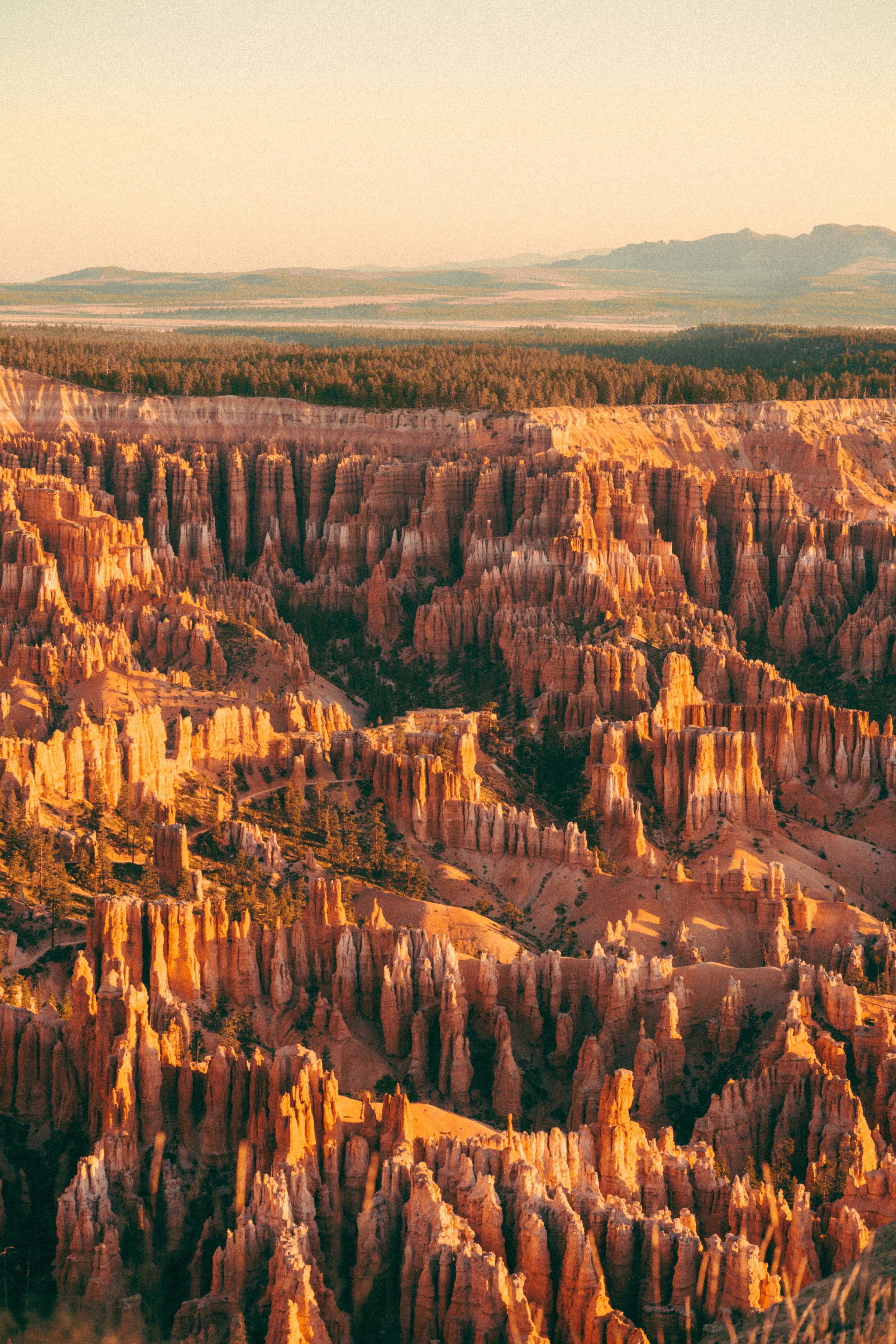 LD-edited-12 copy 2.jpg