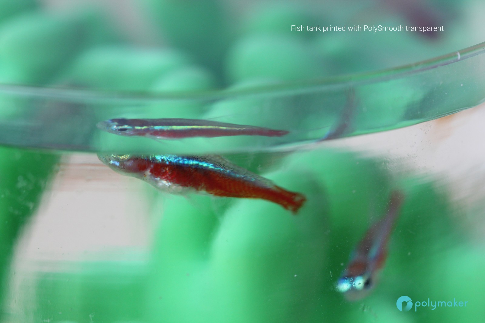 PolySmooth-Transparent-1600x1067.jpg