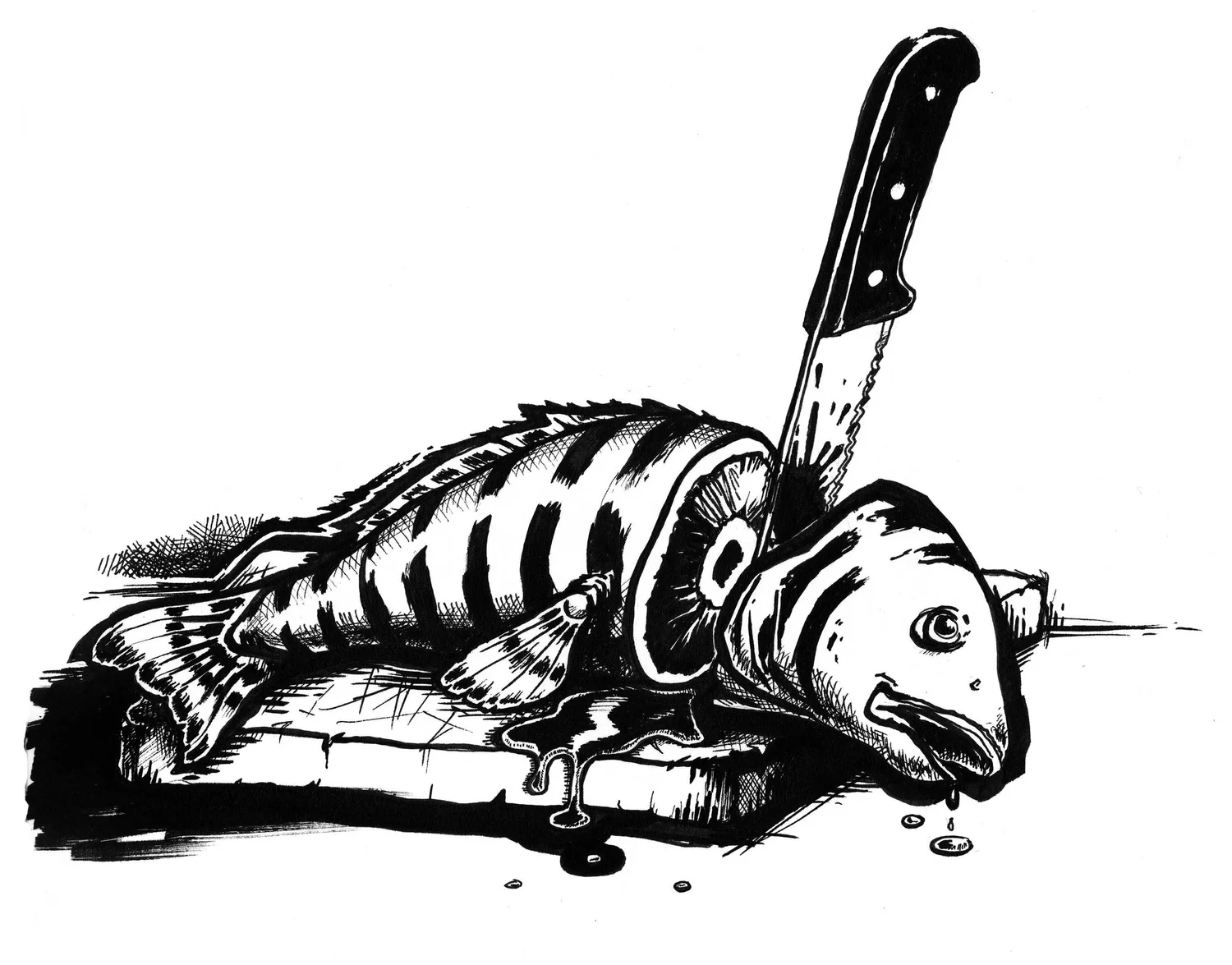 Dead Fish Jeremy Lord Illustration Sydney Australia