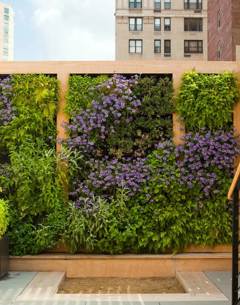 photograph by Eric Piasecki, courtesy Nelson Byrd Woltz Landscape Architects