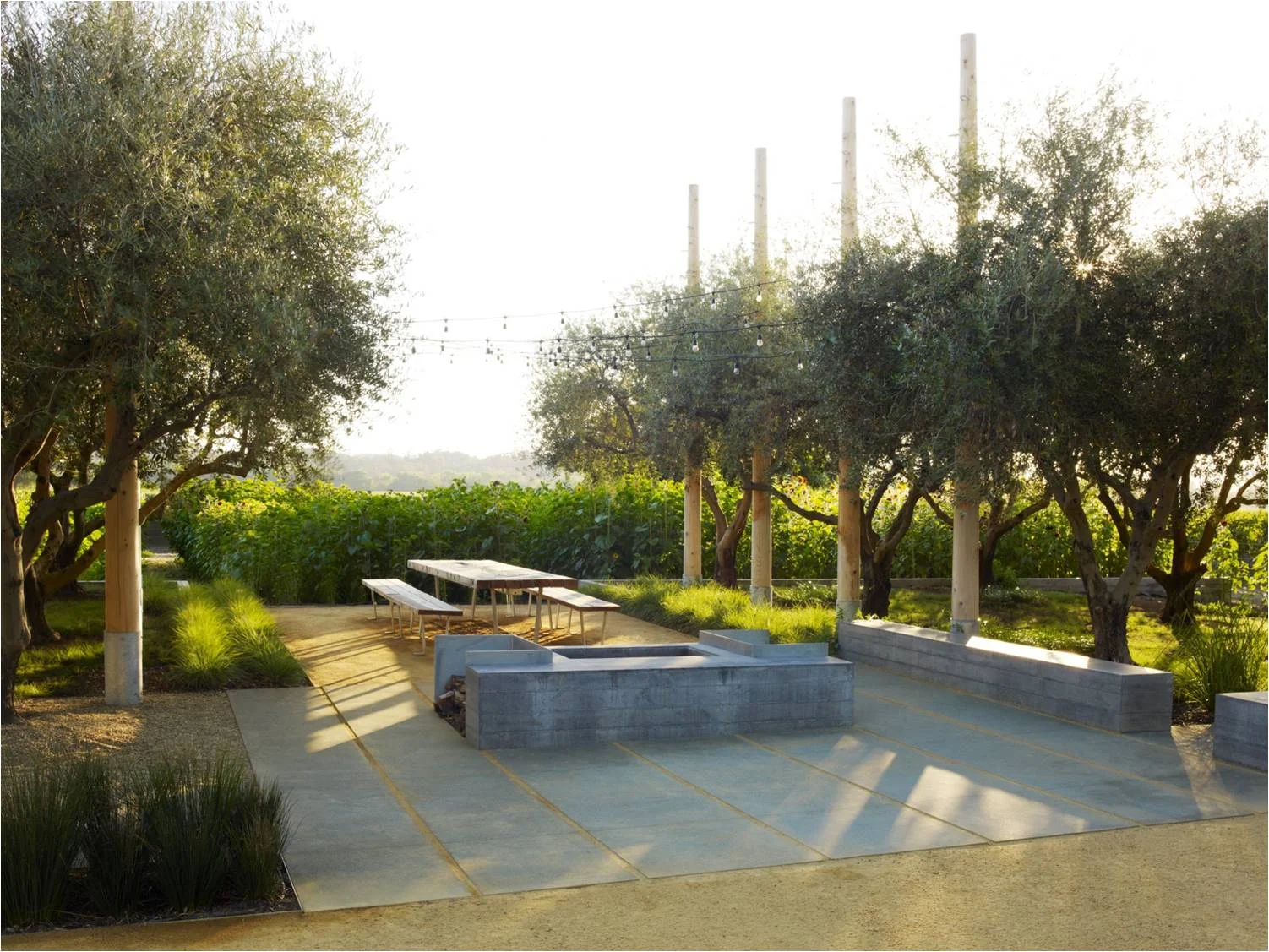 photograph by Marion Brenner, courtesy Nelson Byrd Woltz Landscape Architects