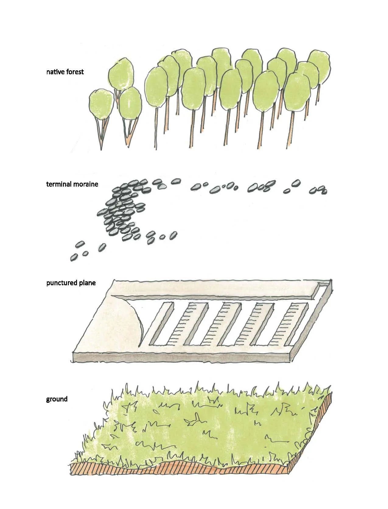 project layers_native forest2.jpg