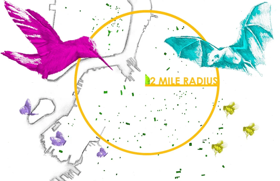 pollinator diagram_pp.jpg