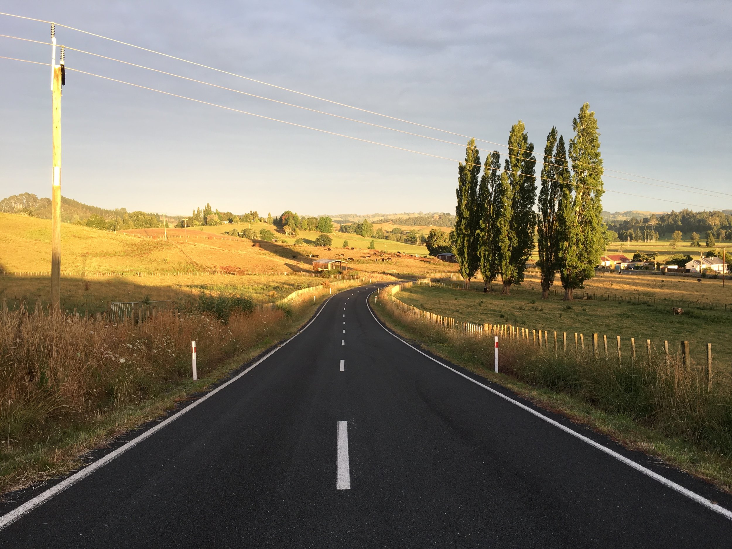 Waitomo road (1).JPG