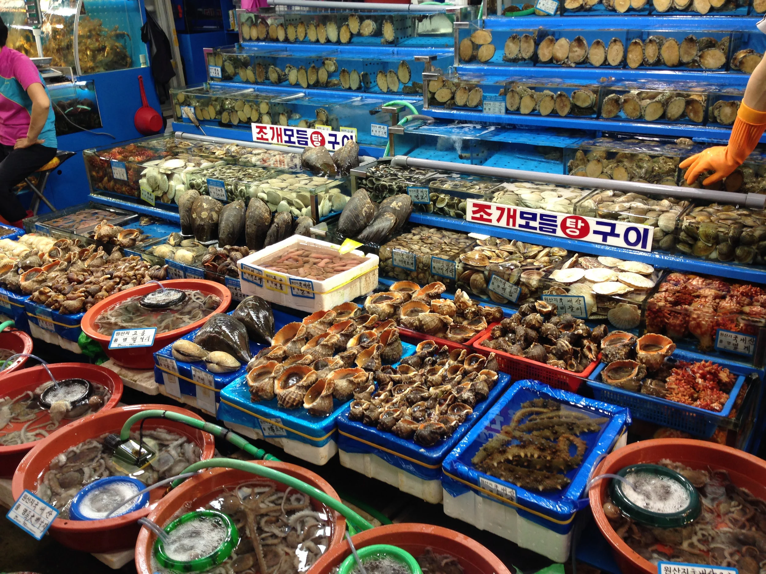 Noryangjin seafood market.jpg