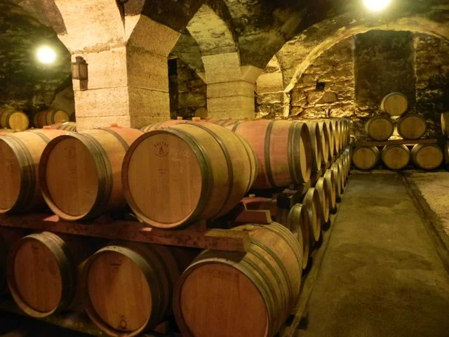 Fasskeller Foradori.jpg