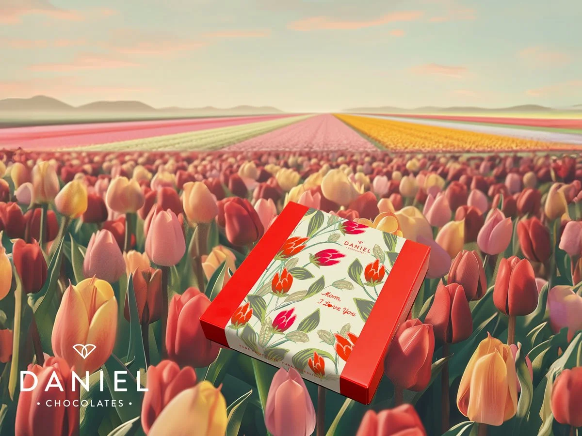 Daniel Chocolates — Social Media