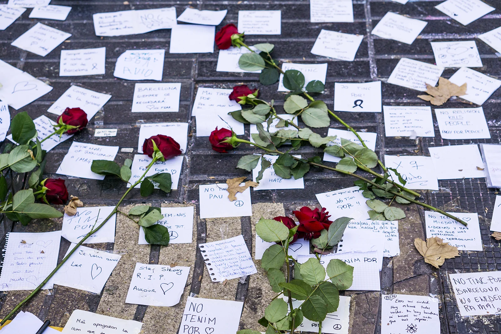 26.08.2017 Barcelona peace manifestation, Las Ramblas - No Tinc Por
