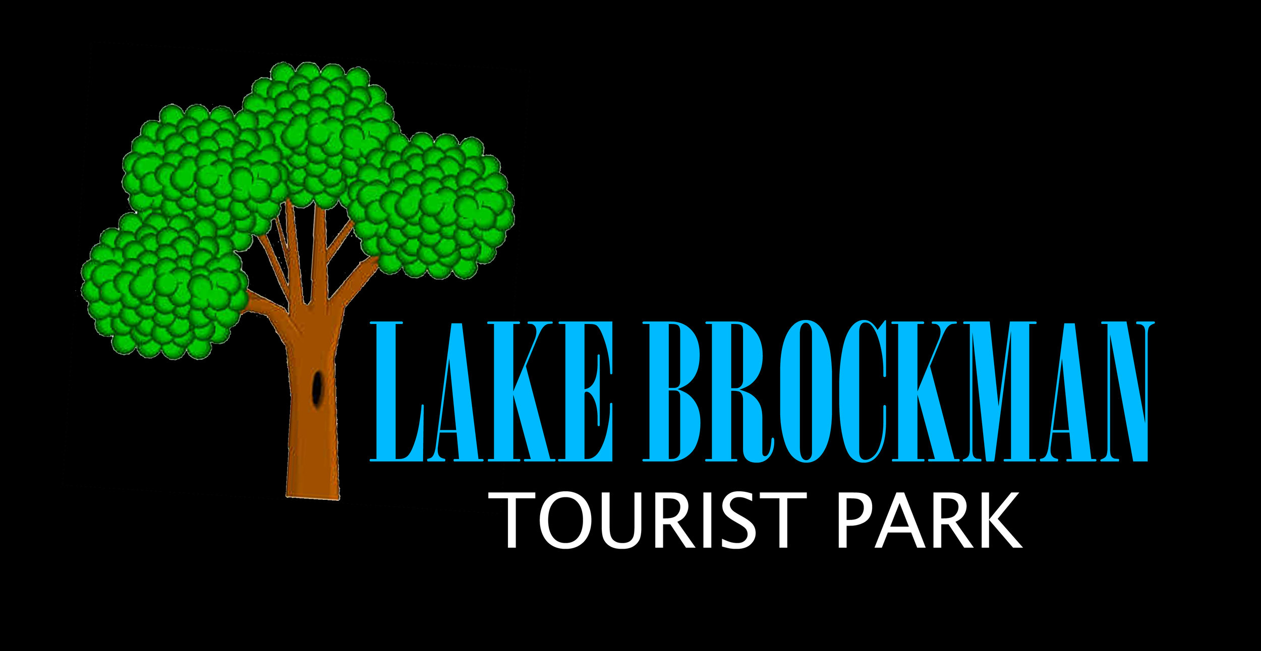 LAKE BROCKMAN logo.jpg