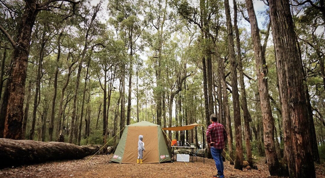 Tent in trees.jpeg