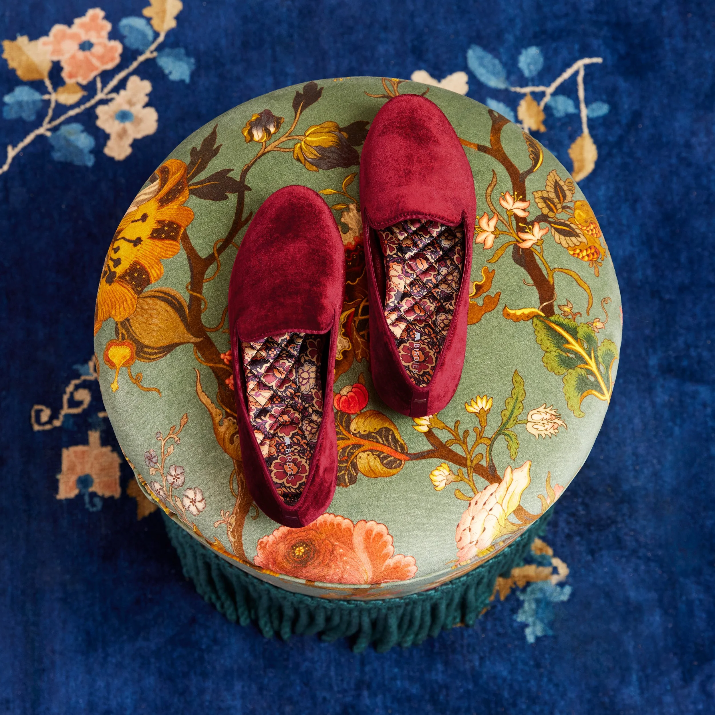 13_FALL_STARLING_STILL_LIFE_0910.JPG