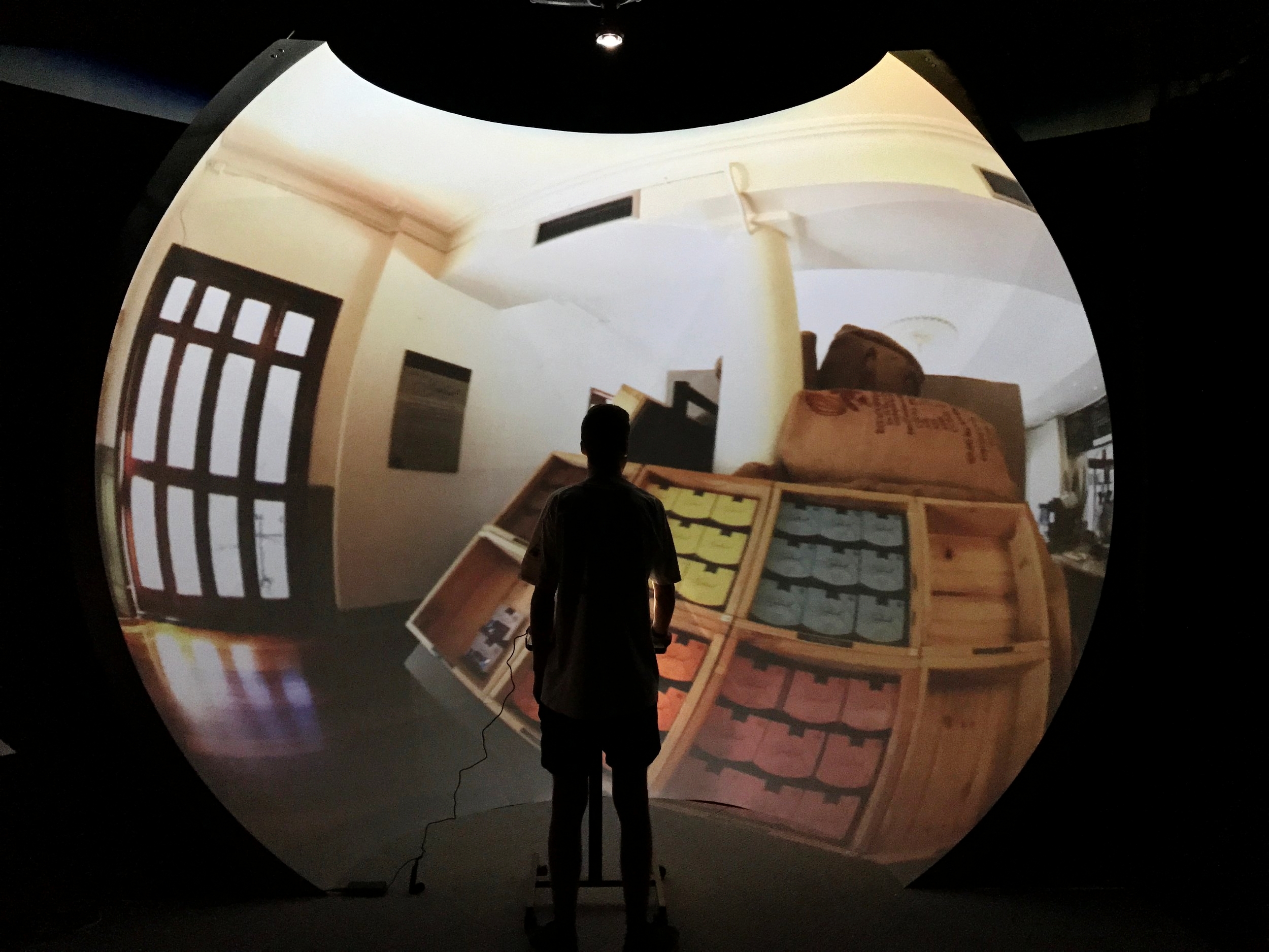 LBRC utilise Immersive Visualisation Hub