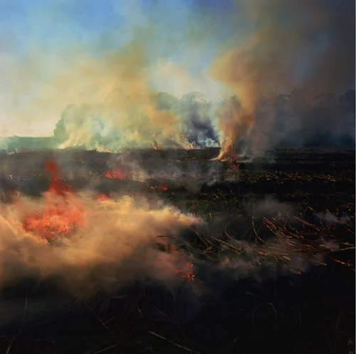 Burning sugar cane, Bayou Tesch, Louisiana. 2004.