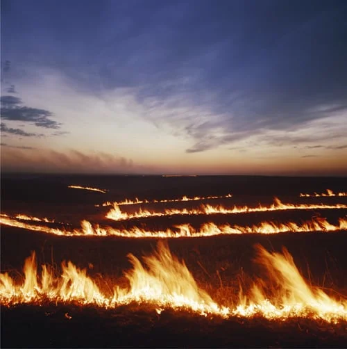 Waves of fire near cattle pens, Chase County, Kansas. 1990.
