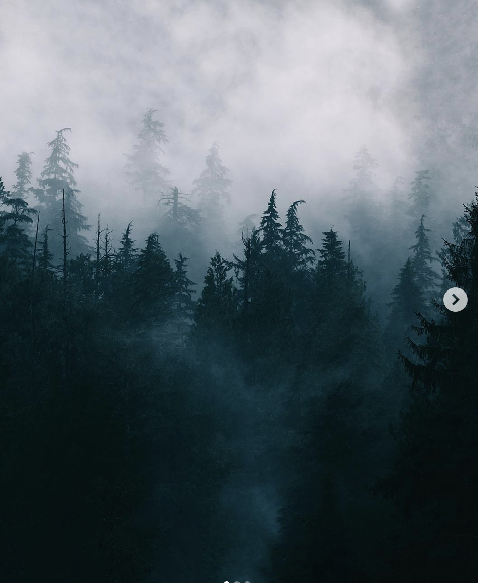 Screenshot 2019-12-19 10.24.49.png