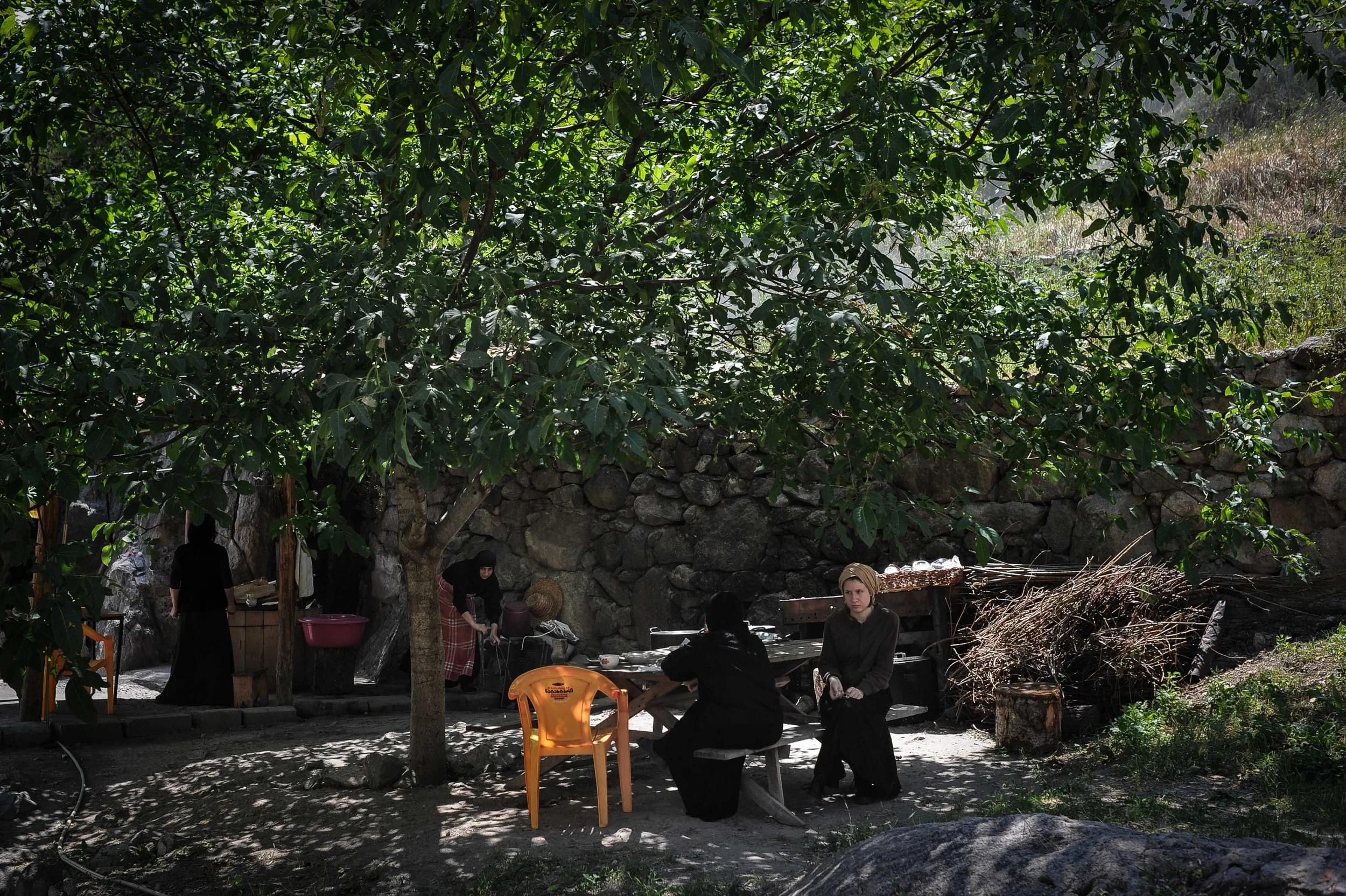 JIP_0461.jpg