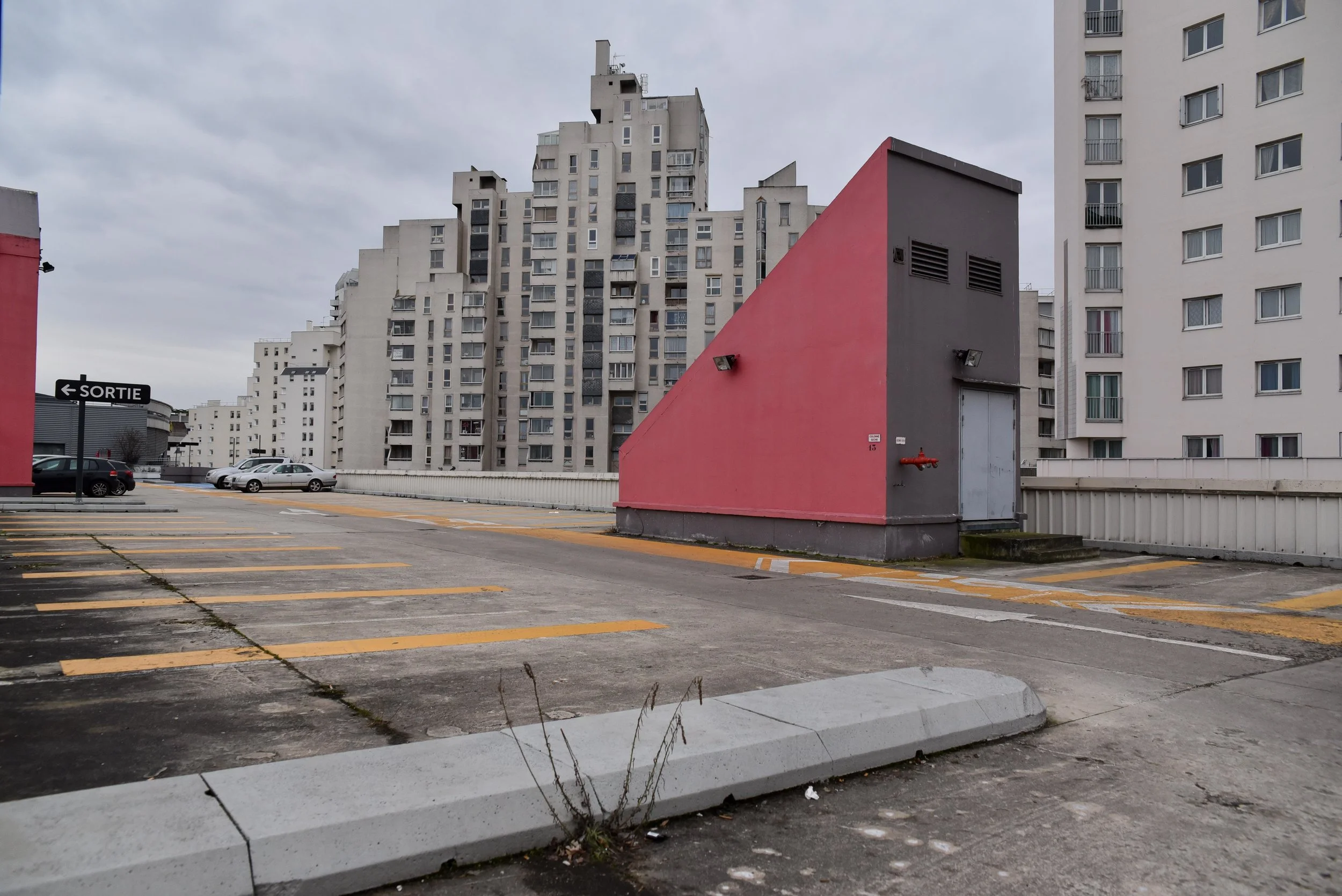DSC_3524.jpg