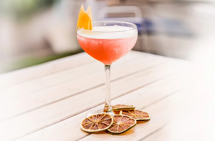 Frosé Cocktails from Echo Falls