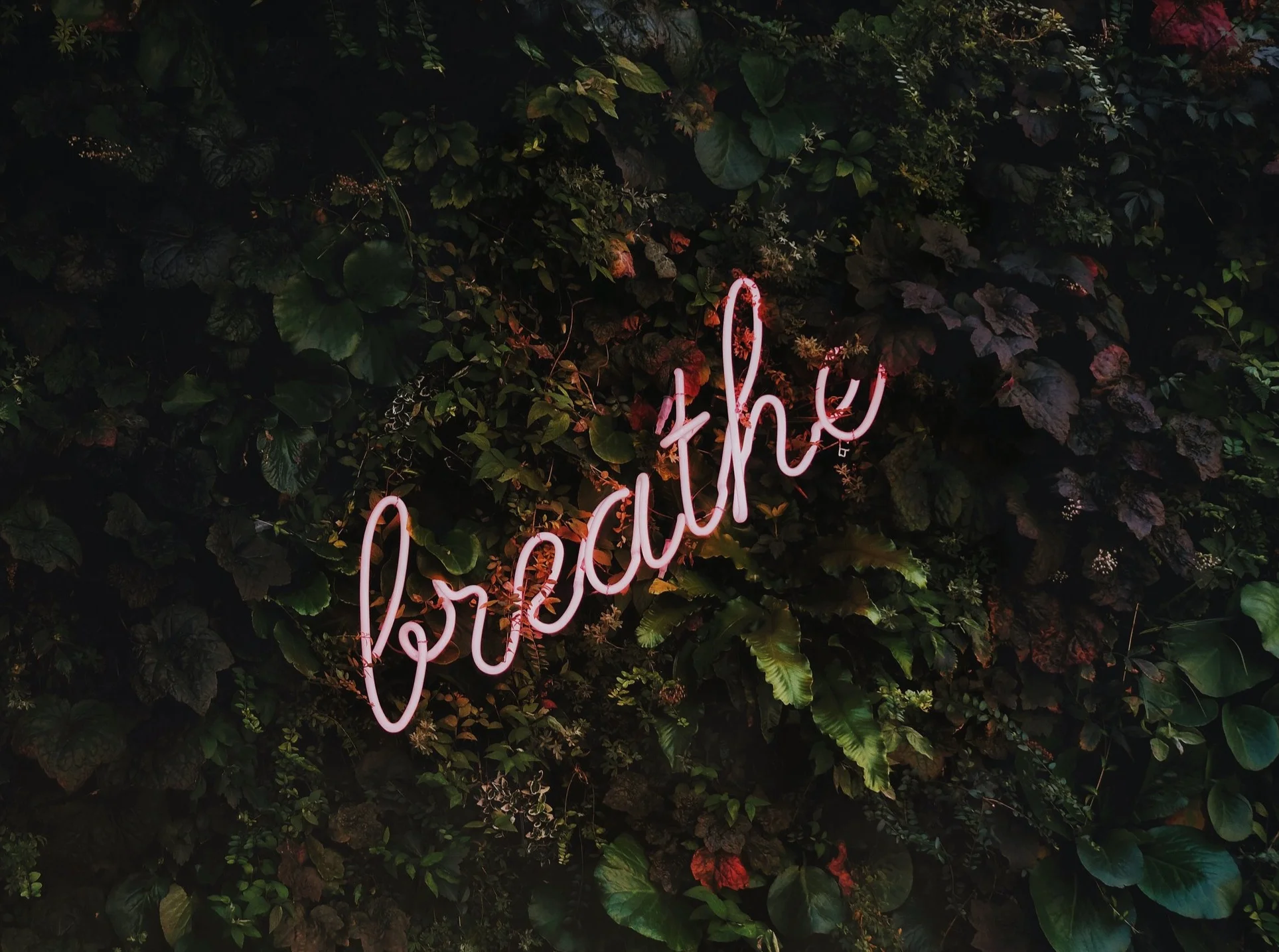 Rich But Unfulfilled - Avoiding Burnout