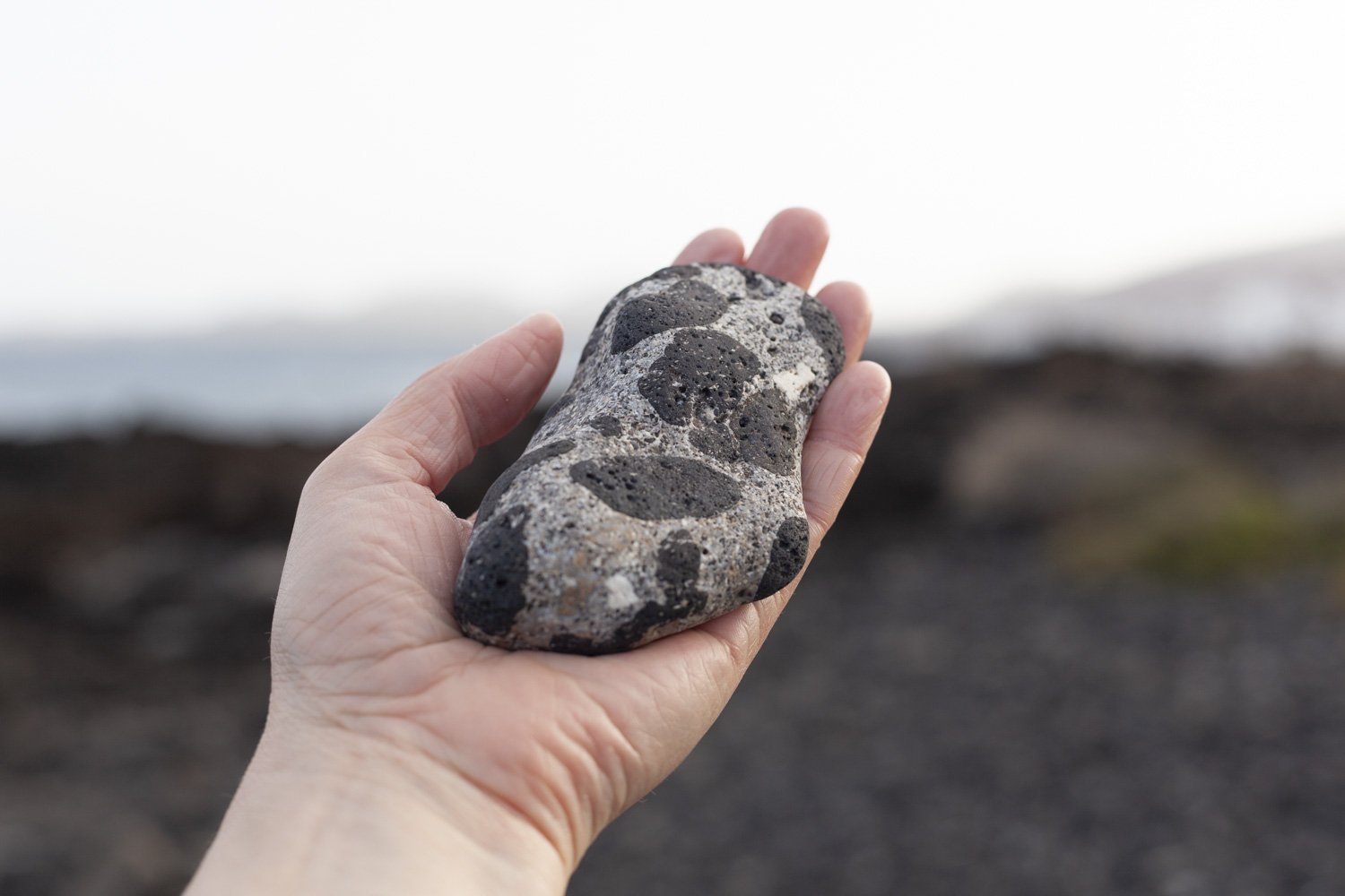 Lanzarote_MG_8158.jpg