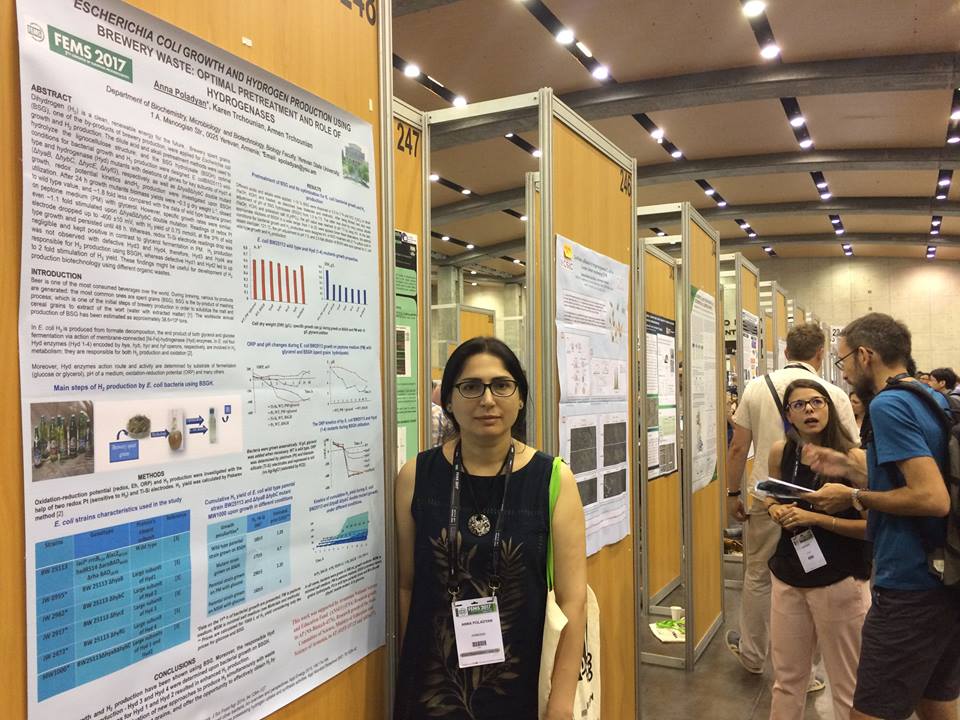 6 PI Anna Poladyan in FEMS congress 2017 with the poster on her research work.jpg