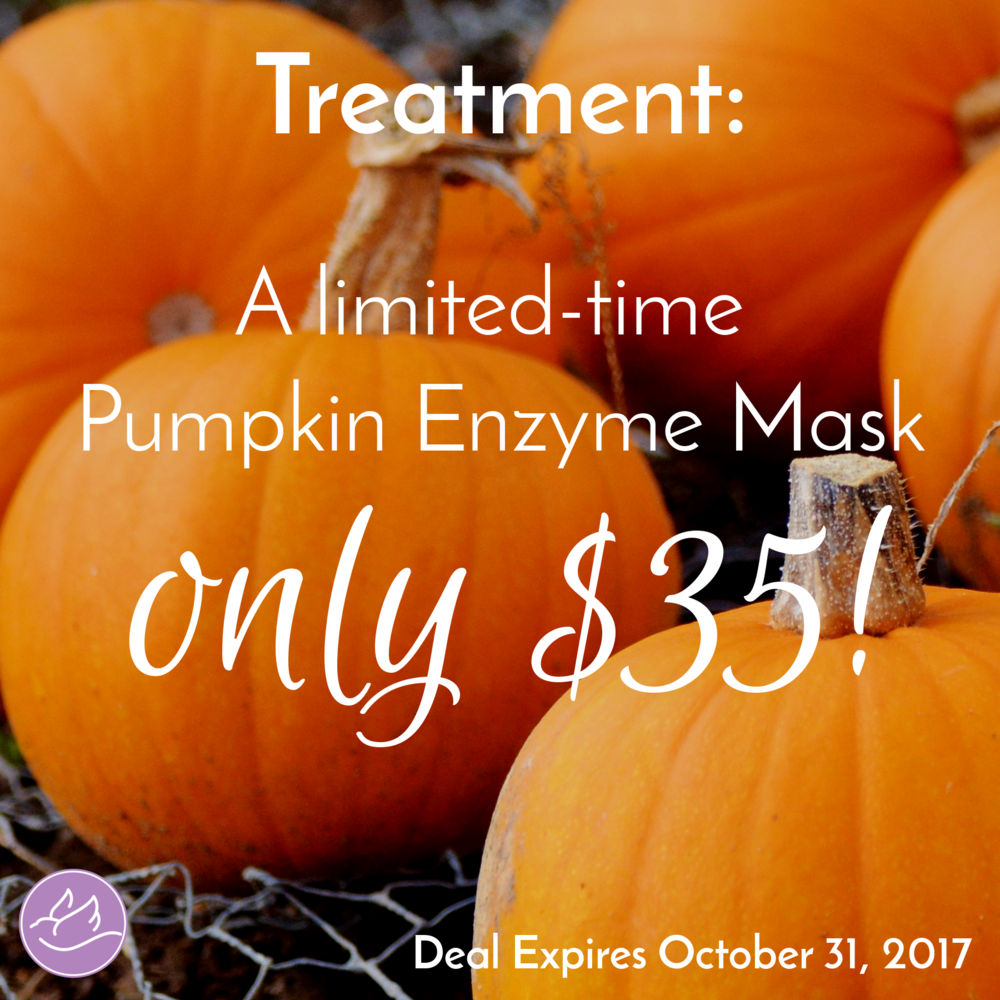 Skin Care & Electrolysis— Pumpkin Enzyme Mask - Professional Image  Enhancement