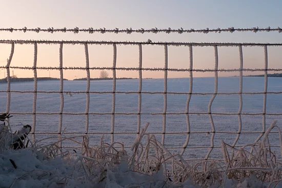 drumbo-winter.jpg