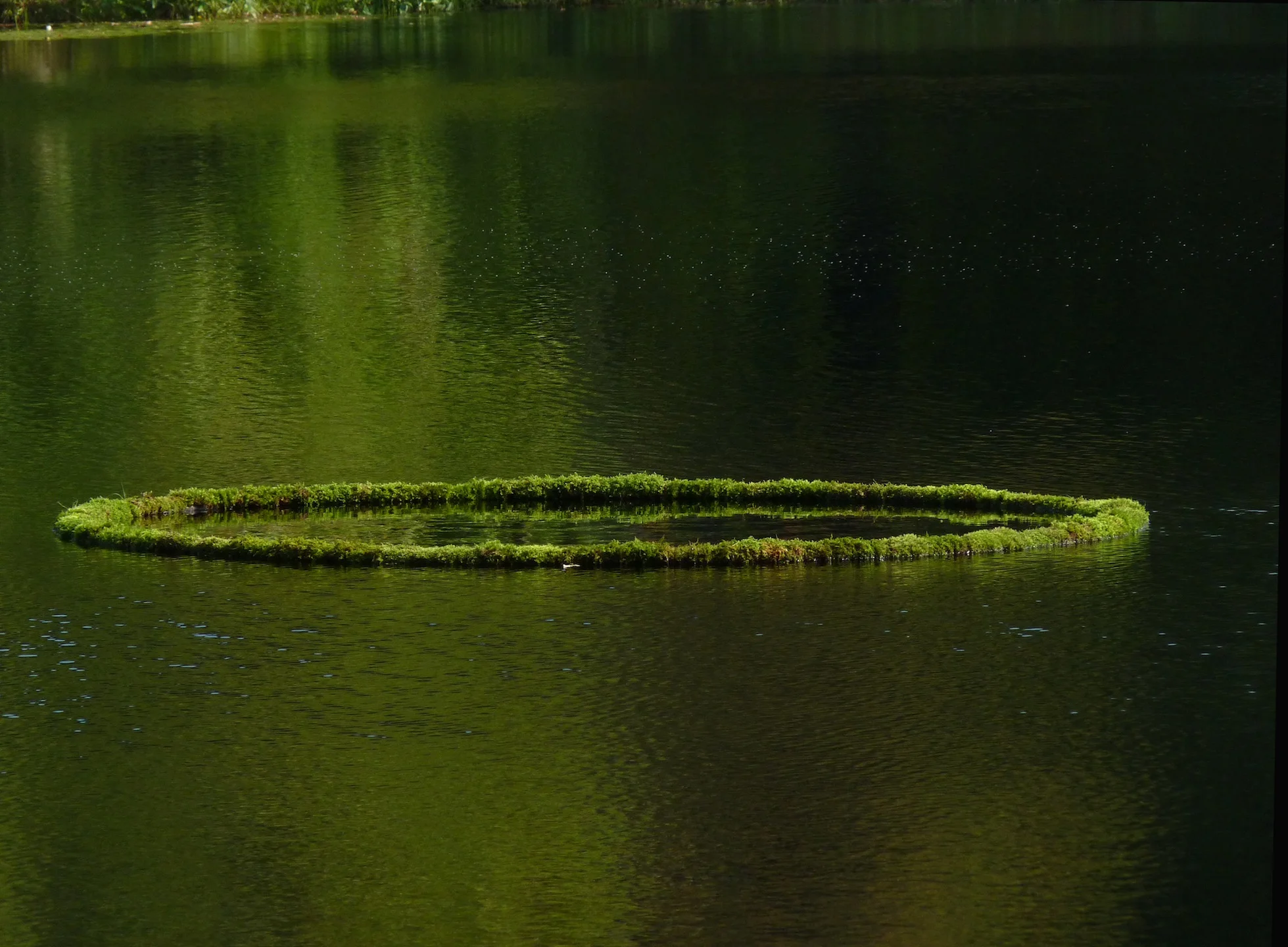 Moss ring green.JPG