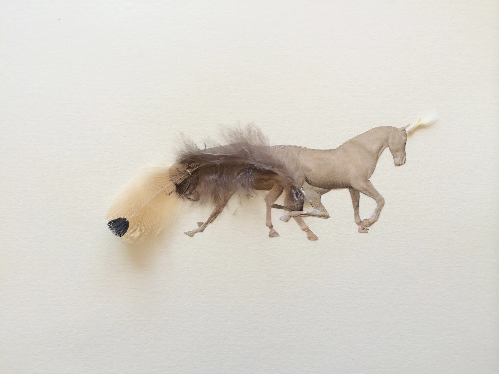 Horses light.JPG