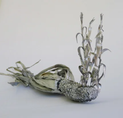 Corns husk sq.jpg