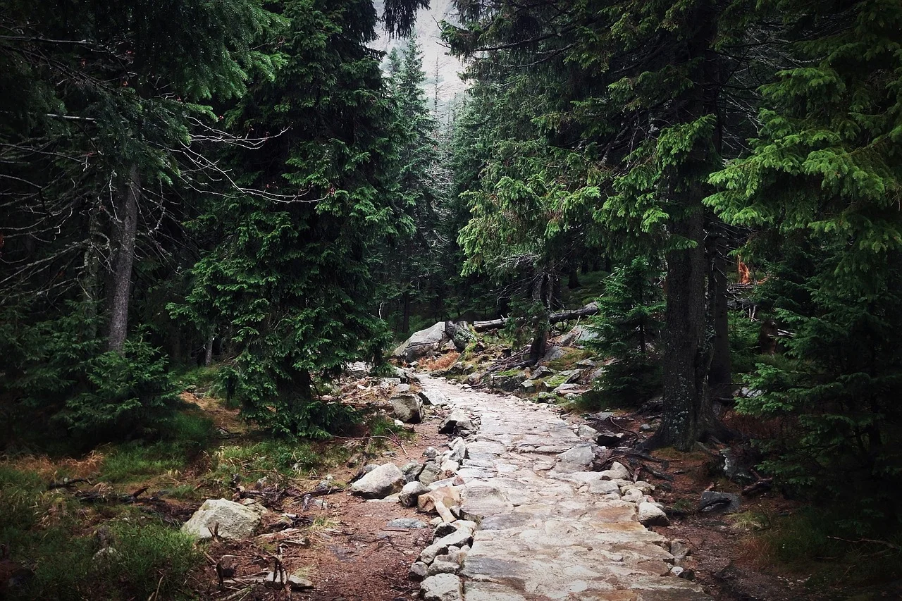 The Path of Self-Discovery