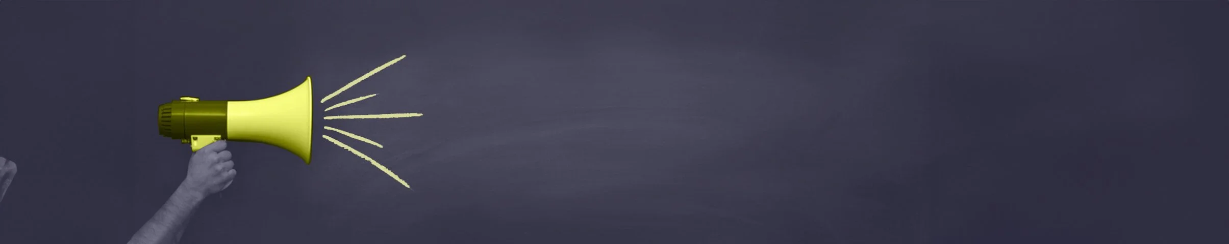 megaphone Long Banner.jpg