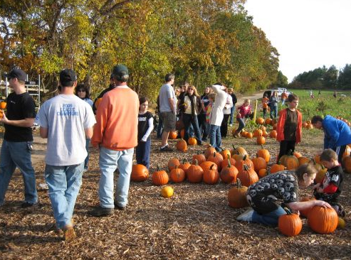 elwoodpumpkinfarm.com