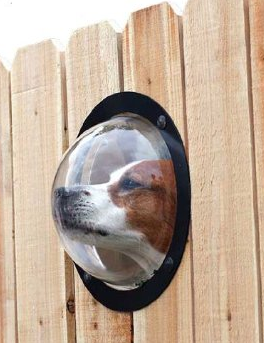 petpeek.info/Amazon.com