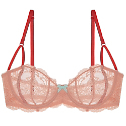 Journelle