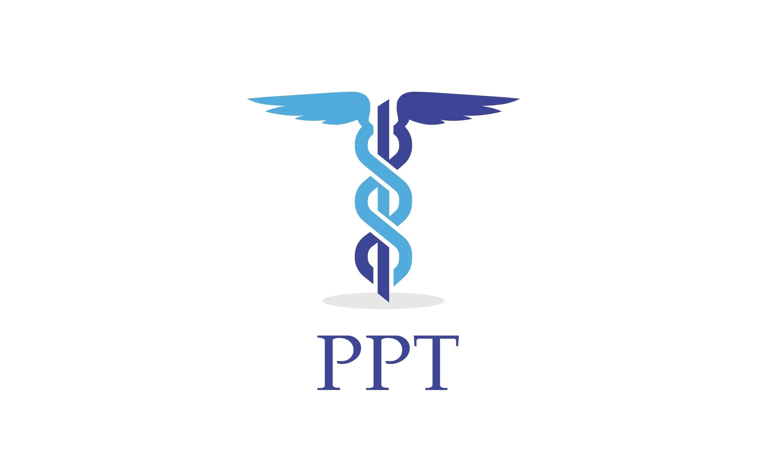 PPT Clinic, physio, Dublin