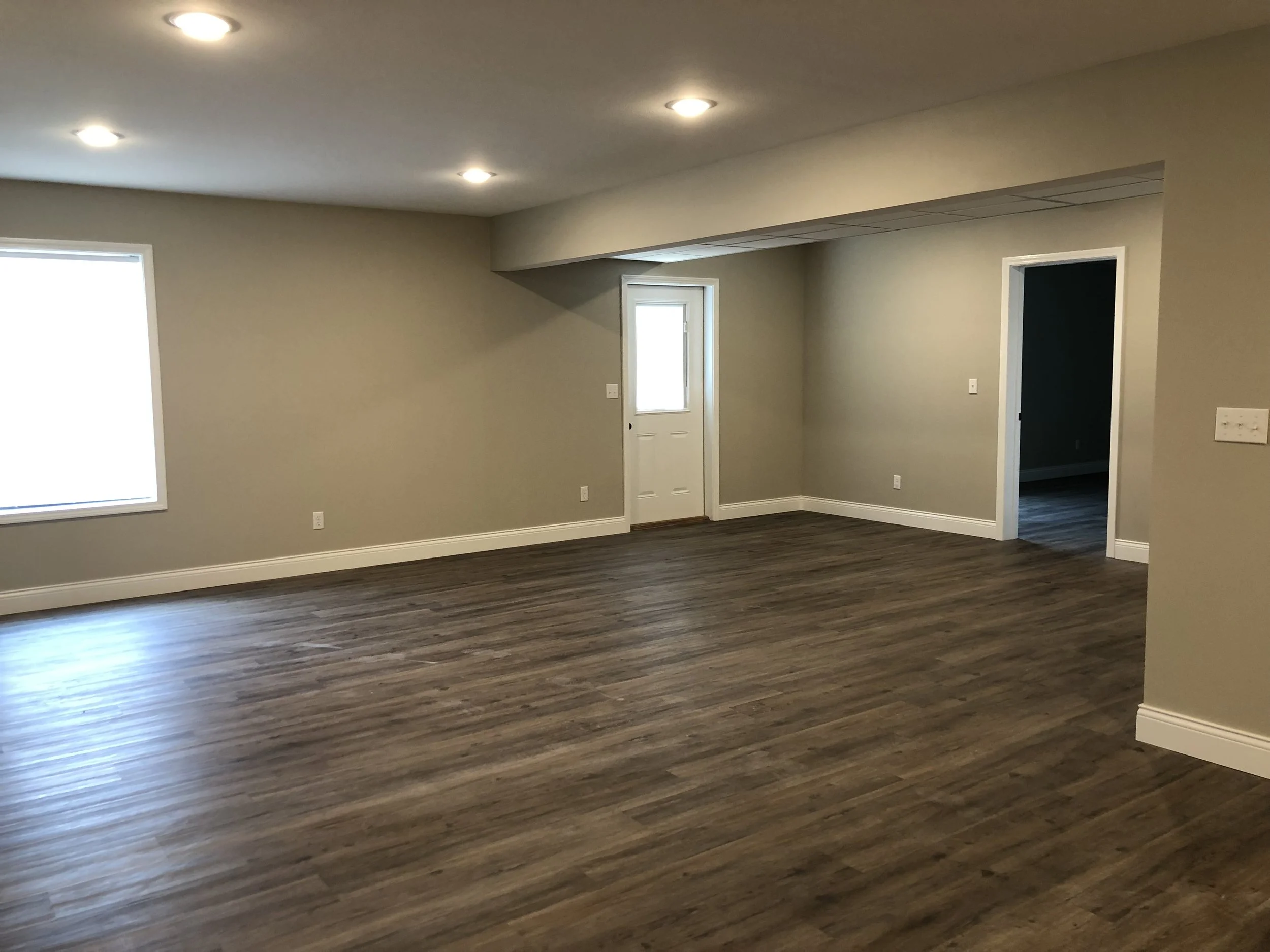 1820 Lewis - Basement pic 2.jpg