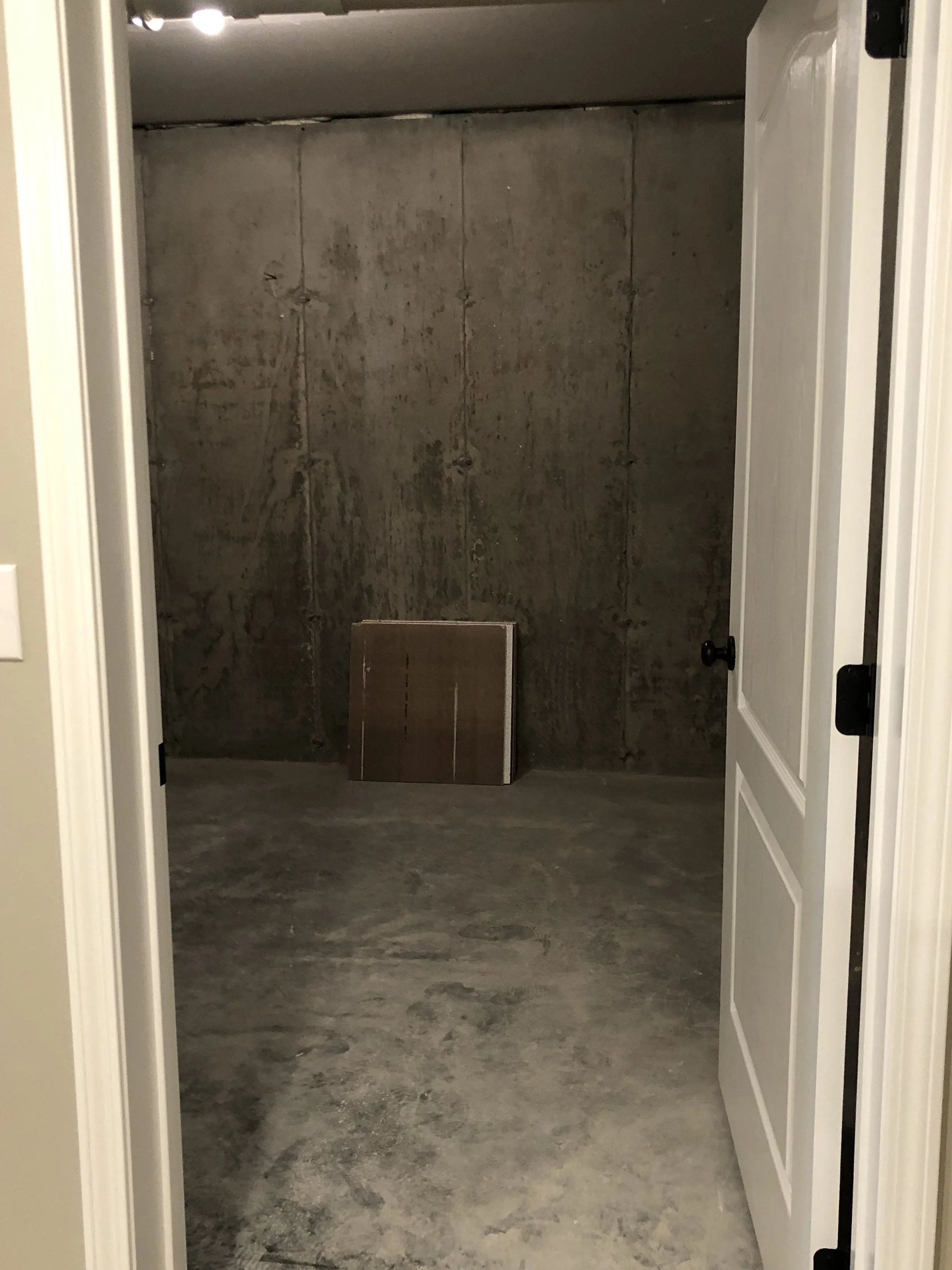 1820 Lewis Basement Storage Room.jpg