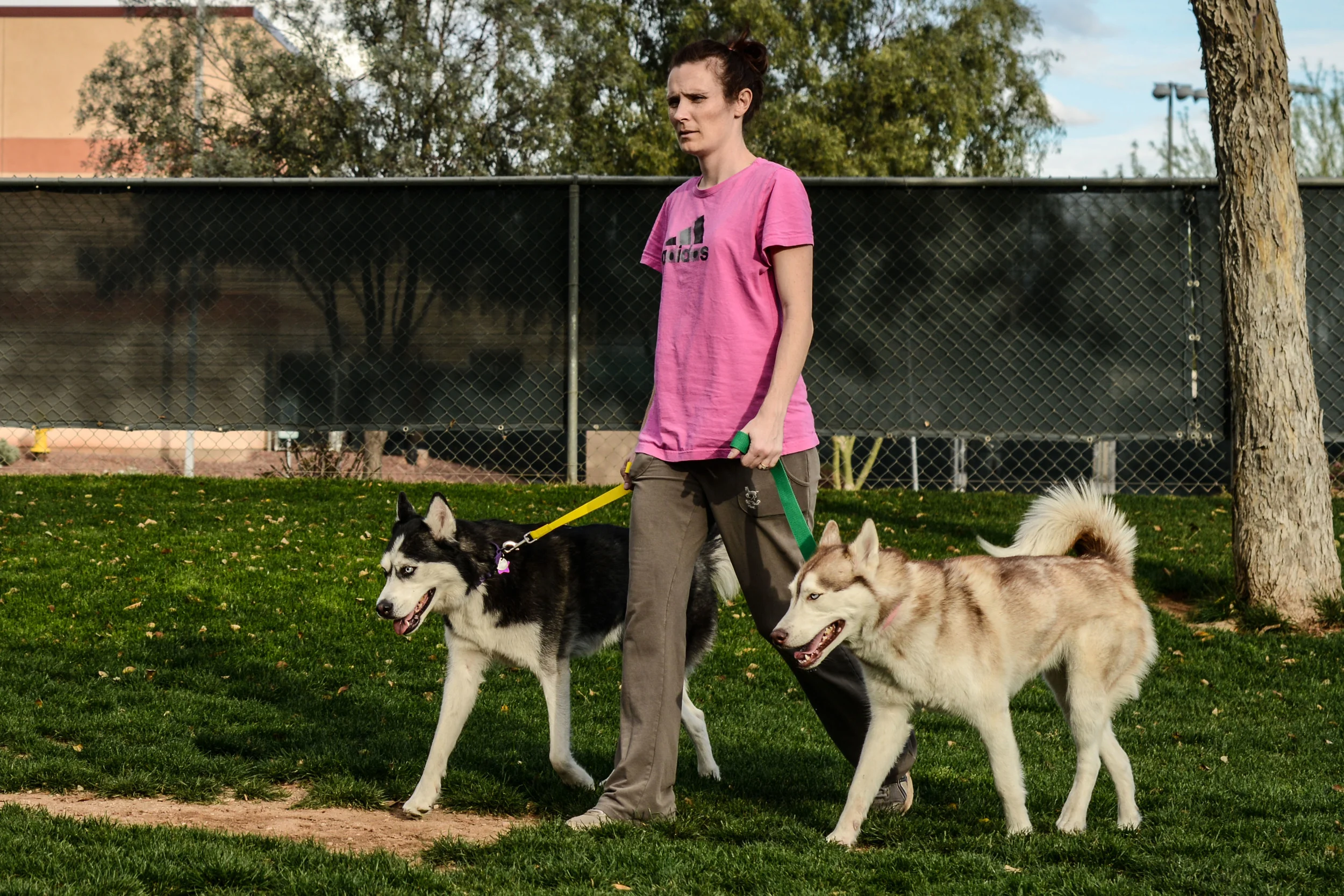 Shylan and Sable are walking in the park with thier 1.5" standard.