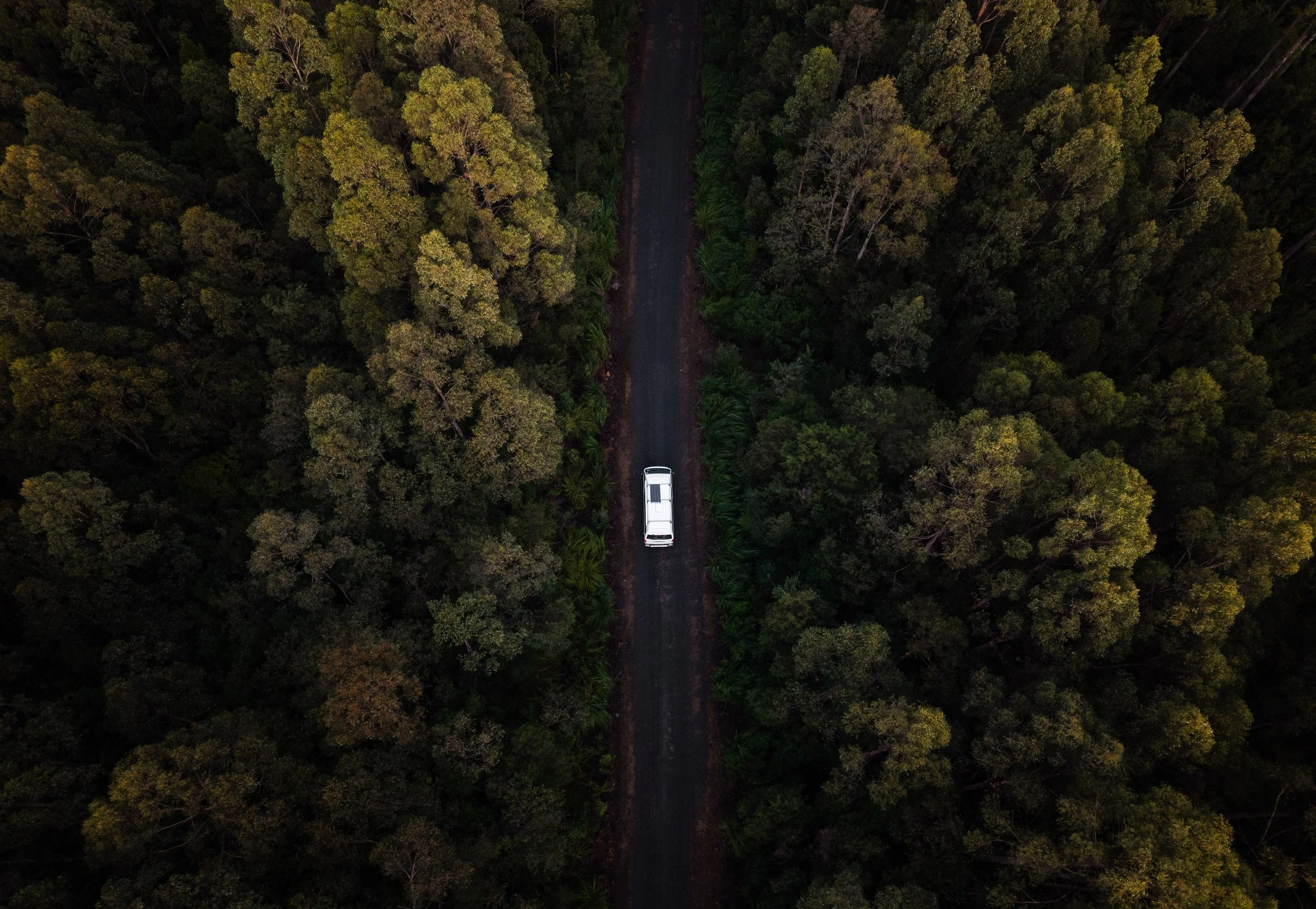 Tasvanlife Promo Video