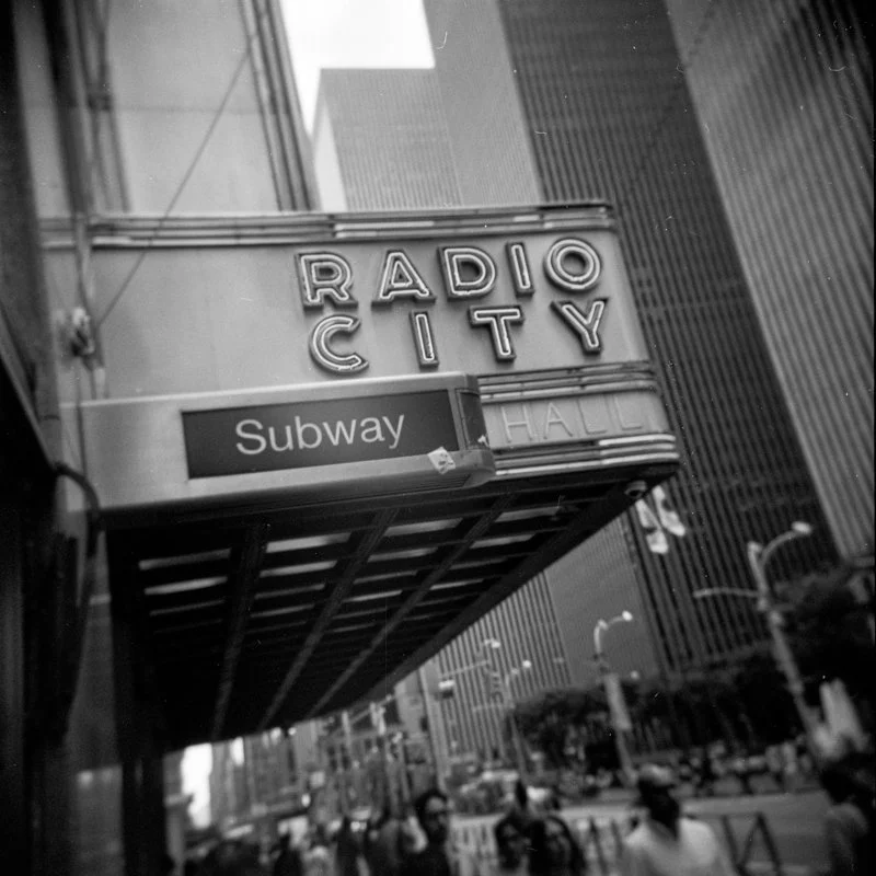 Holga 120N