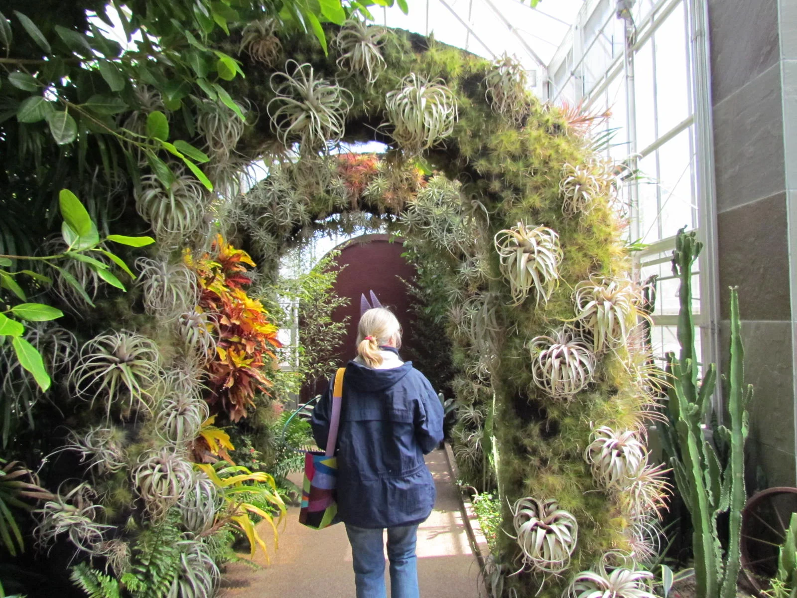 Susan and epiphytes in the Stowe Orchid House