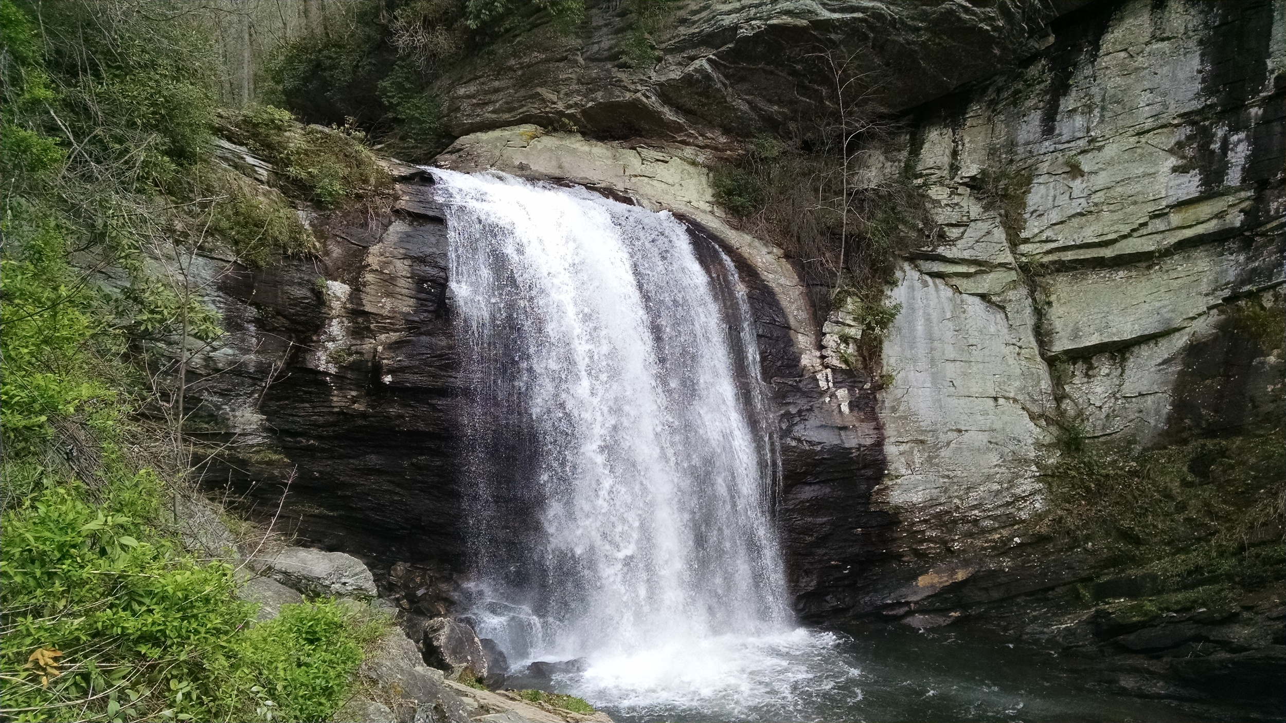 Looking Glass Falls in the Pisgah National Forest