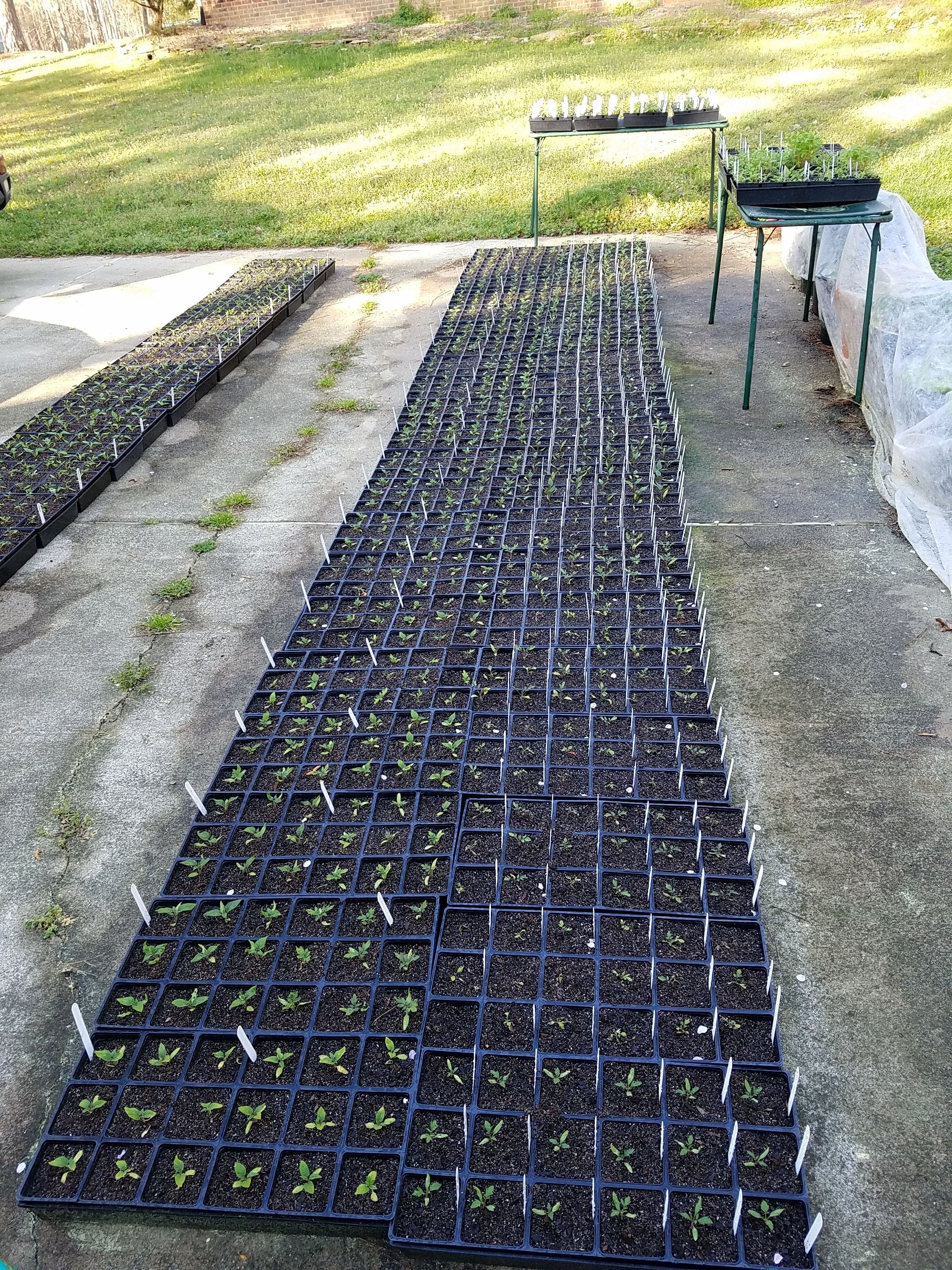 Progress - as of March 28. Labeling is underway