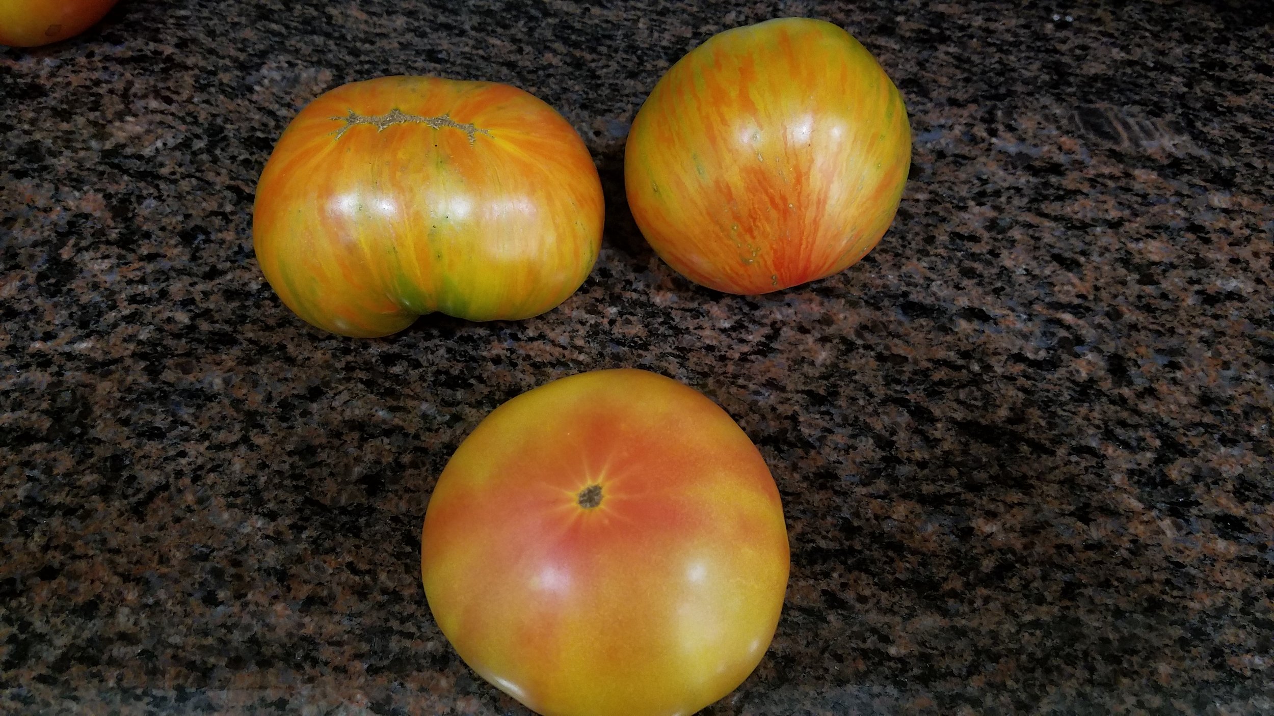 Dwarf Beauty King, upper right, Dwarf Caitydid, bottom (a selection from our Tiggy line is upper left)