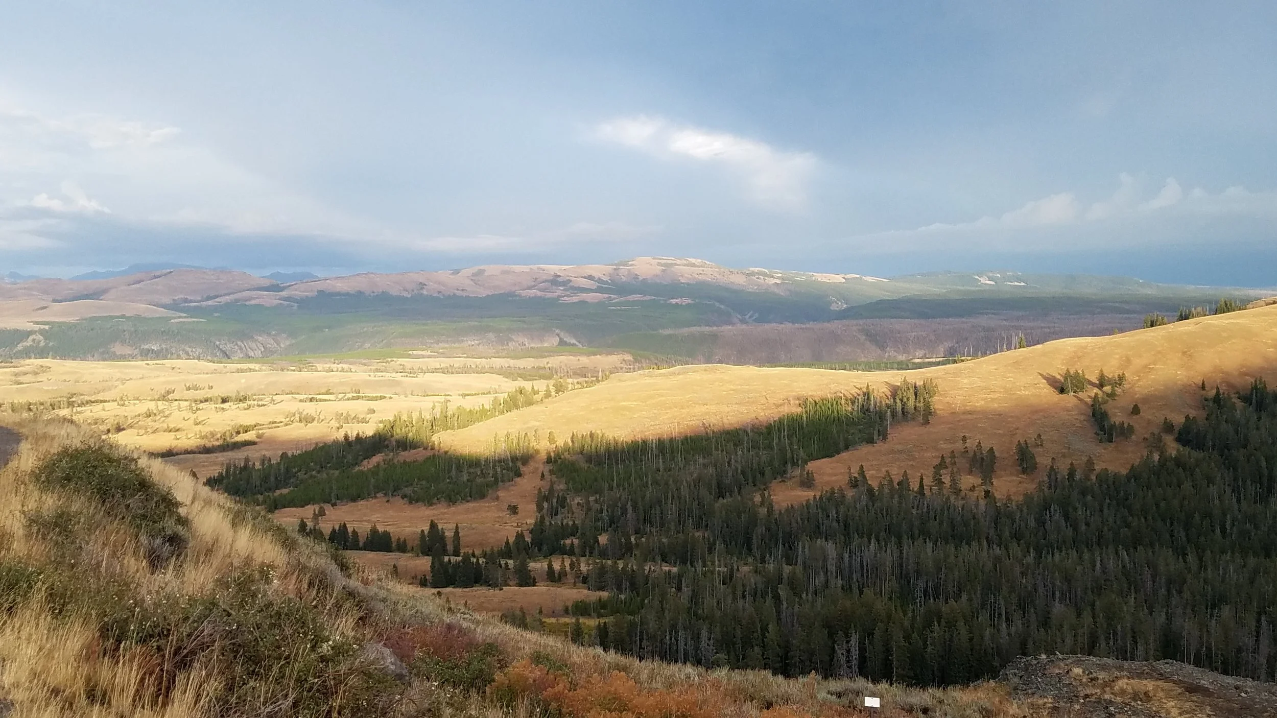 We found that the Cooke City home base allowed us to begin and end each day with a drive through our favorite part, the Lamar Valley.