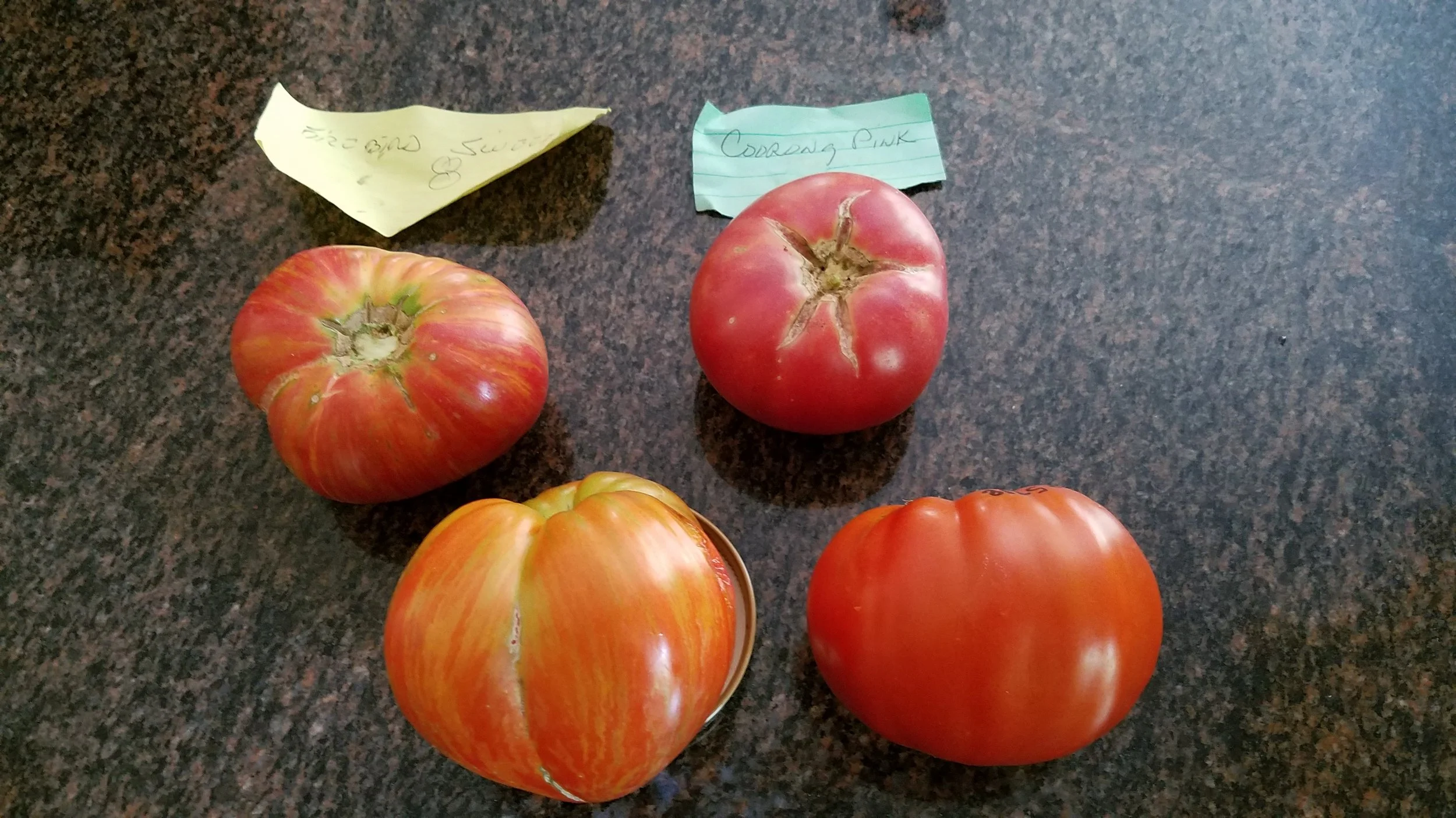 The desired Firebird Sweet, above left, and desired Coorong Pink, above right, from a friend's garden